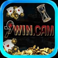 79wincam