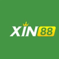 xin88feedback
