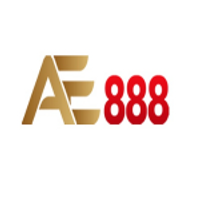 ae888winco1