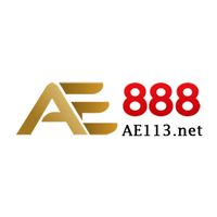 ae113net