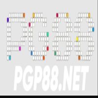 pgp88netvn