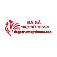 dagatructiep1