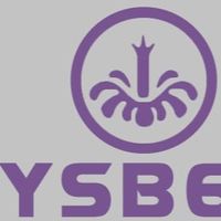ysb666n1