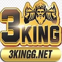 3kinggnet