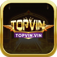 topvinvin