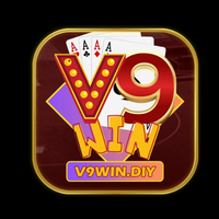 v9windiy
