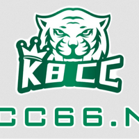 k8cc66netvn