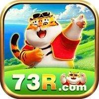 73rnetbr