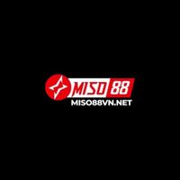 miso88vnnet