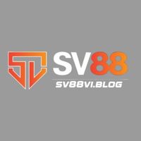sv88viblog2