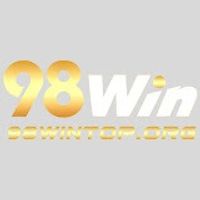 98wintoporg1