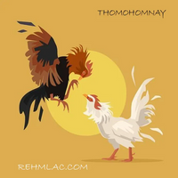 thomohomnayoner