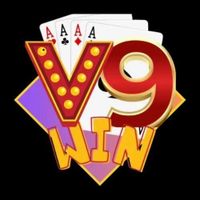 linkv9winspace