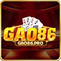 gao86pro