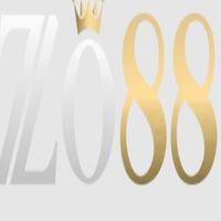 zo88baby