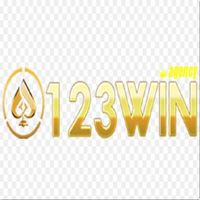 123winagency