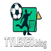 tylekeoblogvn