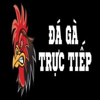 dagatructiep88tv