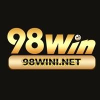 98wininet1