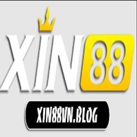 xin88vnblog