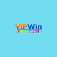 vipwint1com