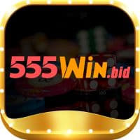 555winbid