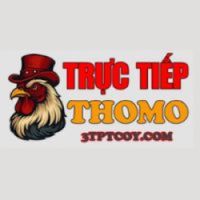 dagatructiep3tpt