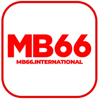 mb66internation