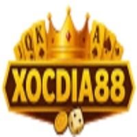 xocdia88ltd
