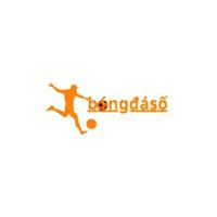 bongdasoresearch