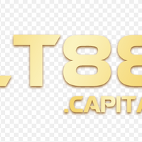 lt88capital