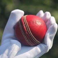 T20live