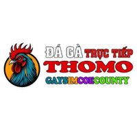 dagatructiep4
