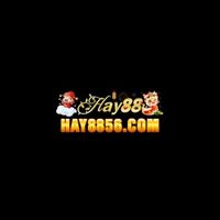 hay8856com