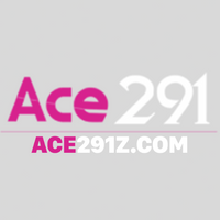 ace291zcom