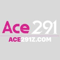 ace291zcom2
