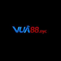 vua88nyc1