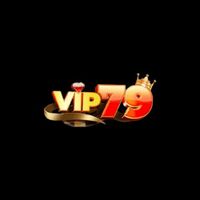vip79camm