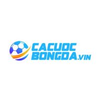 cacuocbongdavin