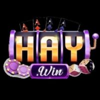 1haywinnetwork