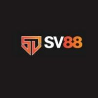 sv88airlines1