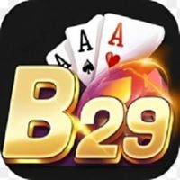 b29cclub