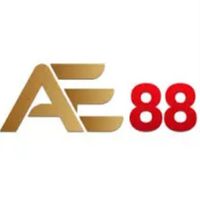 ae88vkzinnet