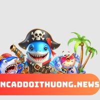 bancadoithuonv