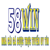 58winvipskin