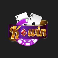 coinskwin