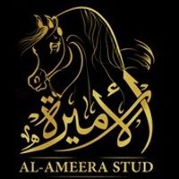 Alameerastud