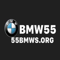 55bmwsorg