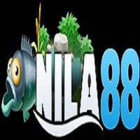 nila88aicom