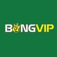 bongvipnet1